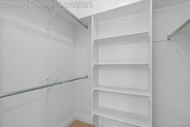 917 Chickasaw Dr, Mason, MI 48854 - view of spacious closet