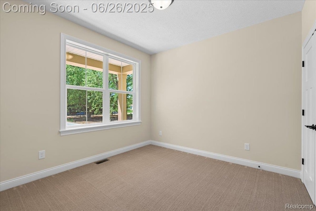 917 Chickasaw Dr, Mason, MI 48854 - empty room with carpet floors and a textured ceiling