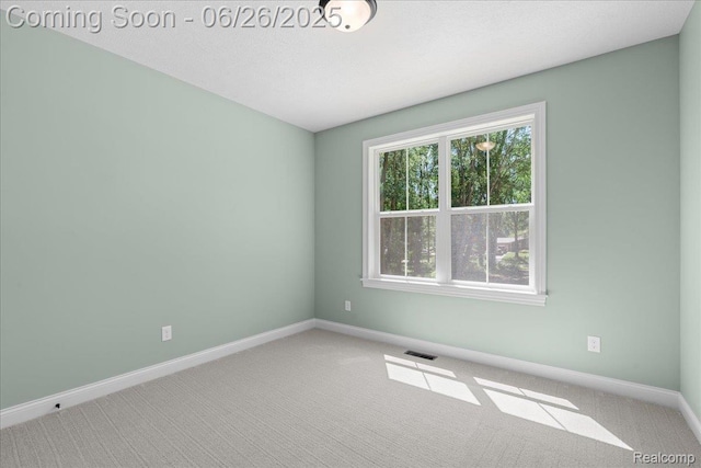 917 Chickasaw Dr, Mason, MI 48854 - carpeted empty room featuring baseboards