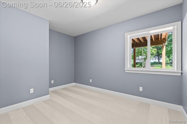 917 Chickasaw Dr, Mason, MI 48854 - empty room with carpet and a textured ceiling