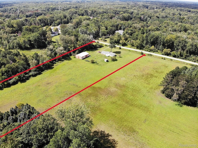 14066 N Lewis Rd, Clio, MI 48420 - photo 33