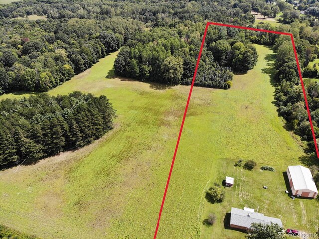 14066 N Lewis Rd, Clio, MI 48420 - photo 37