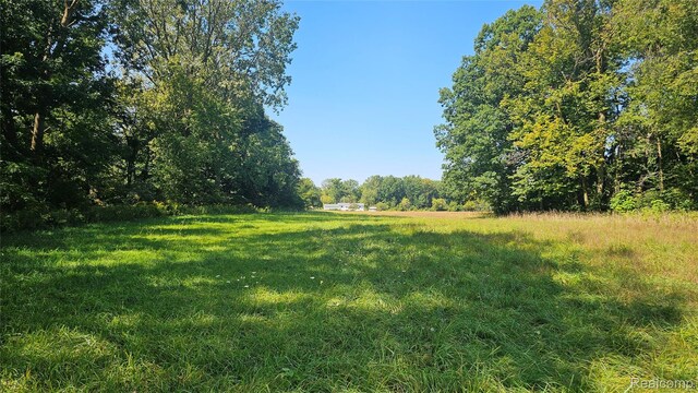 14066 N Lewis Rd, Clio, MI 48420 - photo 34