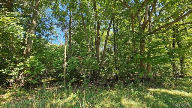 14066 N Lewis Rd, Clio, MI 48420 - photo 36