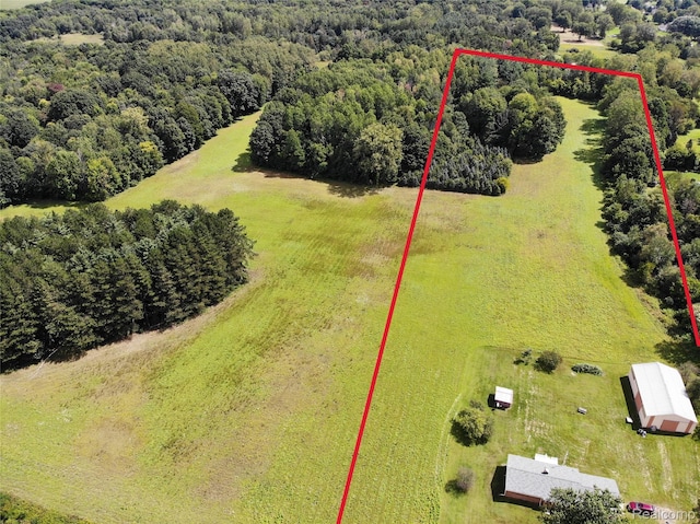 14066 N Lewis Rd, Clio, MI 48420 - photo 39