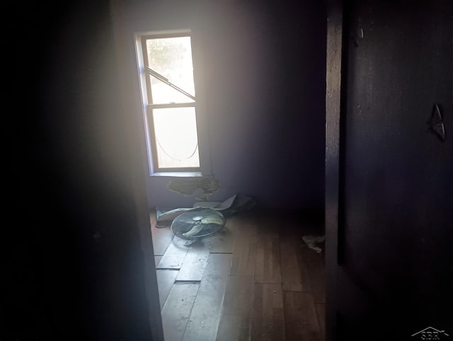 1516 Greenwich St, Saginaw, MI 48602 - bathroom featuring plenty of natural light and hardwood / wood-style floors