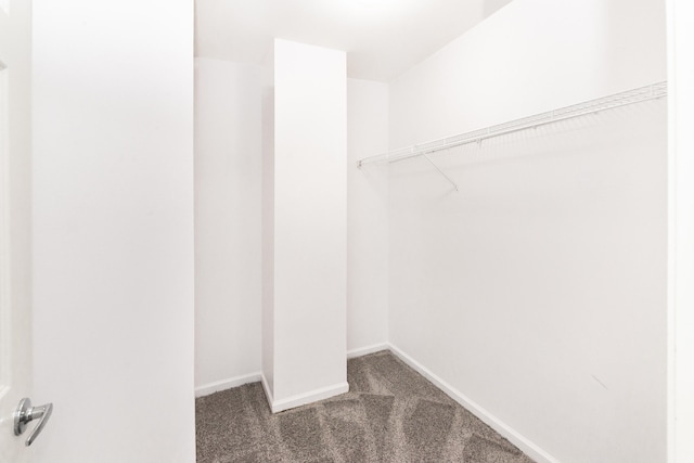 3046 Barclay Way, Ann Arbor, MI 48105 - walk in closet featuring carpet