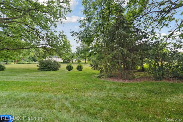 5959 Alan Dr Unit 53, Brighton, MI 48116 - view of grassy yard