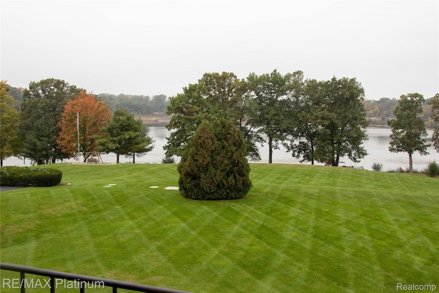5959 Alan Dr Unit 53, Brighton, MI 48116 - view of grassy yard featuring a water view