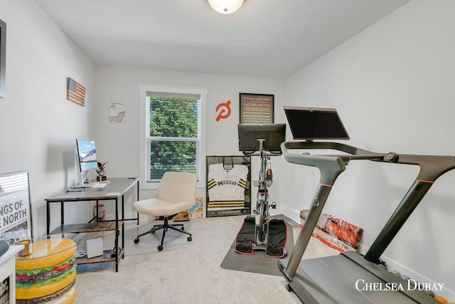 605 Bedford Falls Dr, Sparta, MI 49345 - workout area with carpet