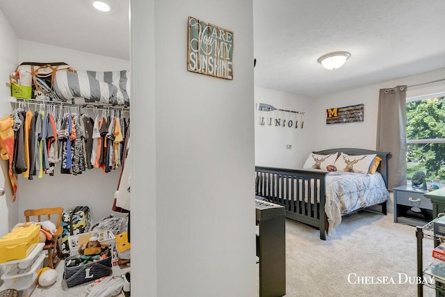 605 Bedford Falls Dr, Sparta, MI 49345 - view of carpeted bedroom