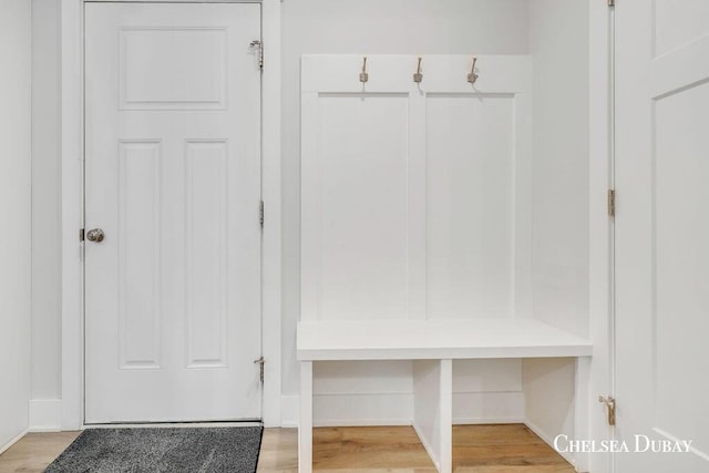 605 Bedford Falls Dr, Sparta, MI 49345 - mudroom with light wood-type flooring and baseboards