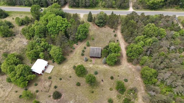 1345 Bosschem Rd, Wellston, MI 49689 - photo 56