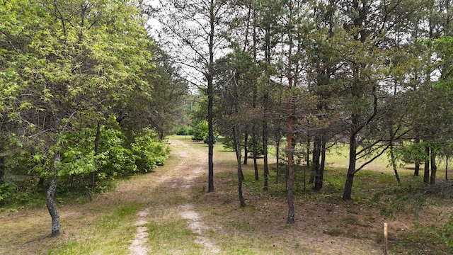 1345 Bosschem Rd, Wellston, MI 49689 - photo 63