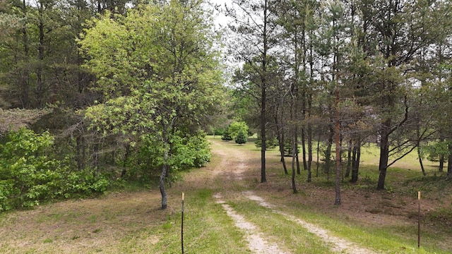 1345 Bosschem Rd, Wellston, MI 49689 - photo 64