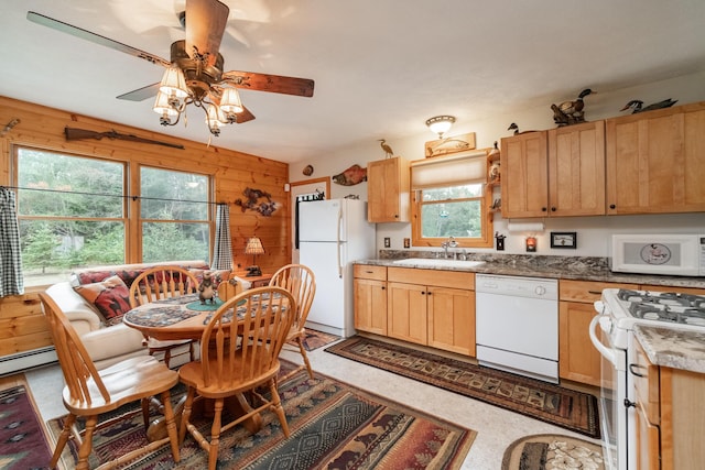 1345 Bosschem Rd, Wellston, MI 49689 - photo 15
