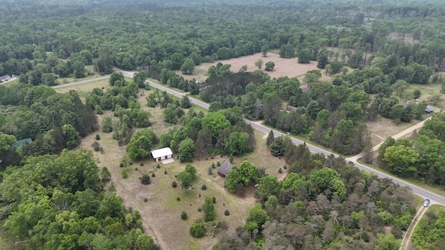 1345 Bosschem Rd, Wellston, MI 49689 - photo 75