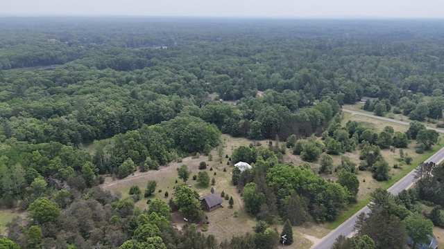1345 Bosschem Rd, Wellston, MI 49689 - photo 78