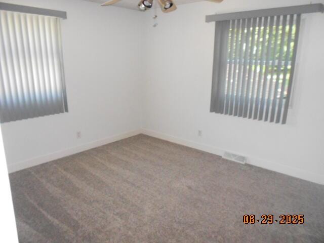 1090 Cadet Ln, Kalamazoo, MI 49009 - empty room featuring a ceiling fan, healthy amount of natural light, and carpet flooring