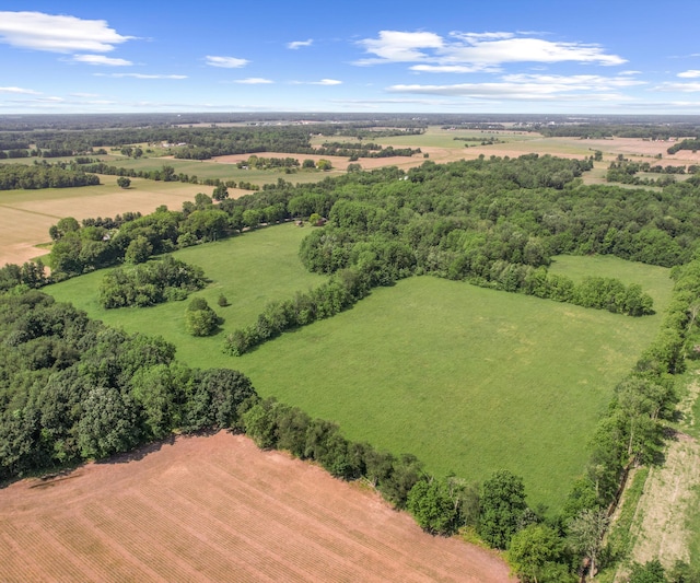 928 Curtis Rd, Quincy, MI 49082 - aerial view of sparsely populated area