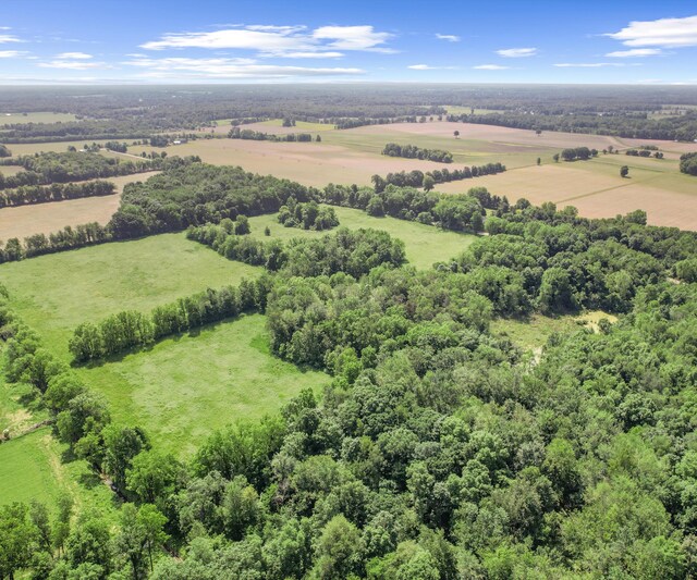 928 Curtis Rd, Quincy, MI 49082 - aerial view of sparsely populated area