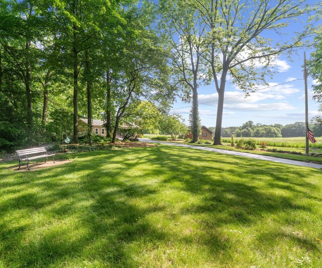 928 Curtis Rd, Quincy, MI 49082 - view of green lawn