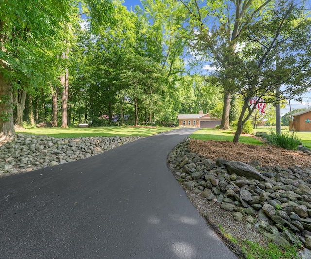 928 Curtis Rd, Quincy, MI 49082 - view of asphalt driveway