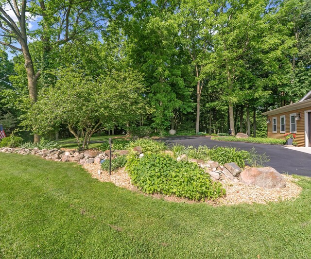 928 Curtis Rd, Quincy, MI 49082 - view of green lawn