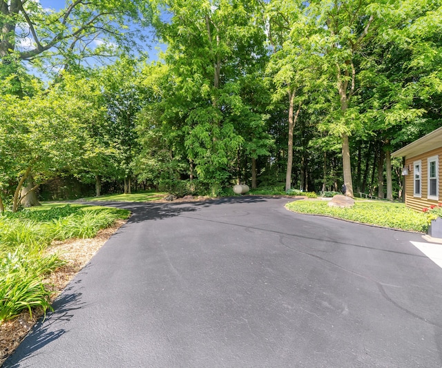 928 Curtis Rd, Quincy, MI 49082 - view of asphalt road featuring view of wooded area
