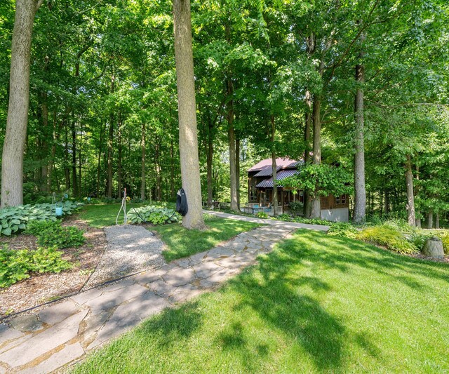 928 Curtis Rd, Quincy, MI 49082 - view of grassy yard