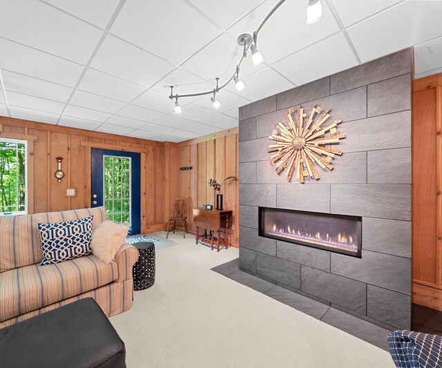 928 Curtis Rd, Quincy, MI 49082 - carpeted living area with a tiled fireplace, healthy amount of natural light, wood walls, and rail lighting