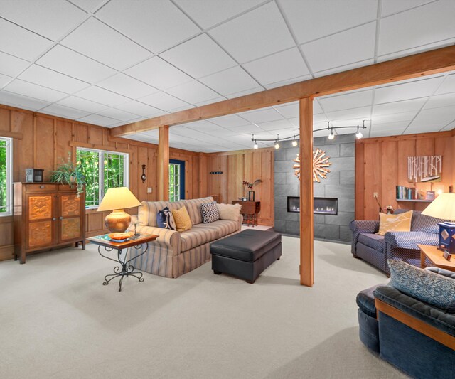 928 Curtis Rd, Quincy, MI 49082 - carpeted living room featuring wooden walls, a tile fireplace, and rail lighting