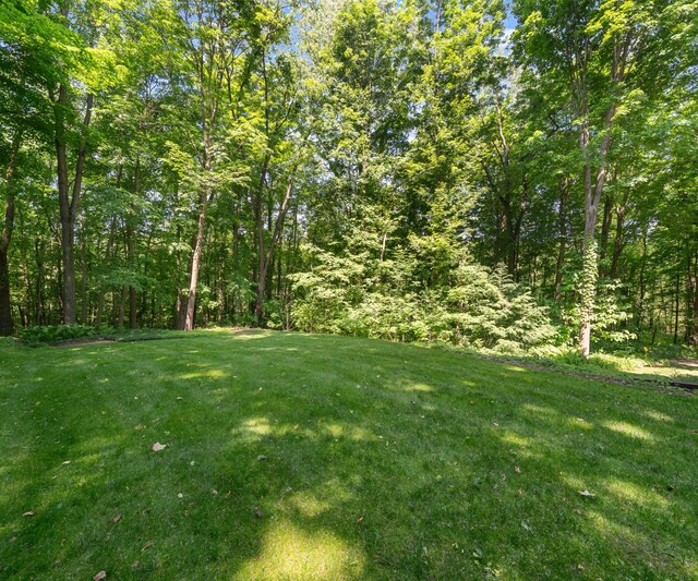 928 Curtis Rd, Quincy, MI 49082 - view of green lawn
