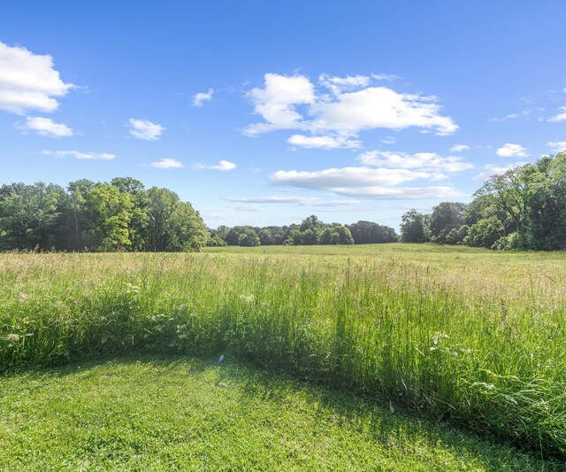 928 Curtis Rd, Quincy, MI 49082 - view of local wilderness with rural landscape