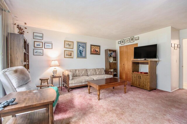 1205 Sassafras Ln, Niles, MI 49120 - living room featuring carpet