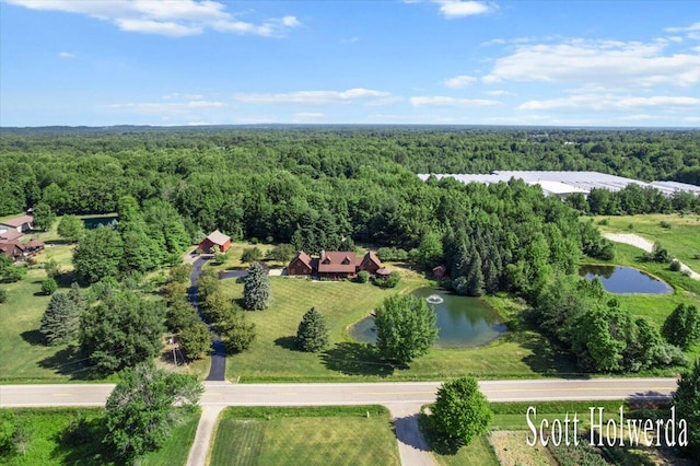 6311 142nd Ave, Holland, MI 49423 - aerial view of a heavily wooded area and a large body of water