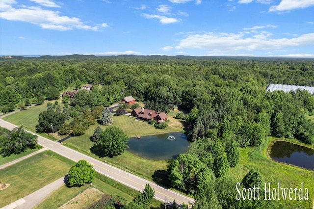 6311 142nd Ave, Holland, MI 49423 - aerial view of a nearby body of water