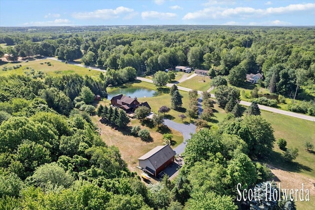 6311 142nd Ave, Holland, MI 49423 - drone / aerial view of a heavily wooded area and a nearby body of water