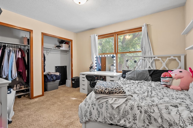 7154 Sandpiper St, Portage, MI 49024 - carpeted bedroom with two closets and a textured ceiling