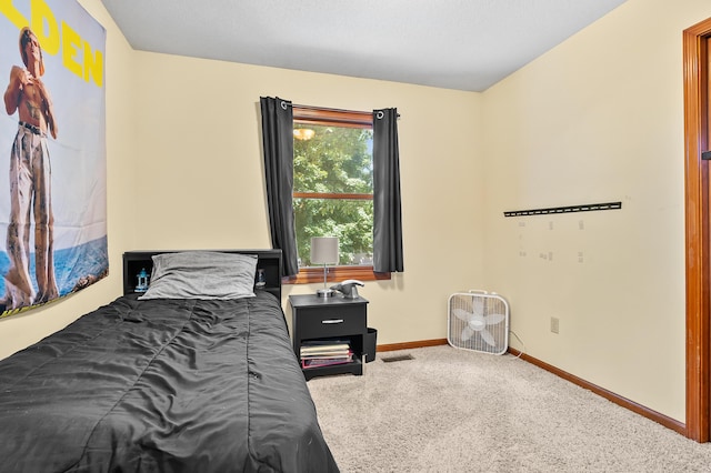 7154 Sandpiper St, Portage, MI 49024 - bedroom with carpet flooring and baseboards