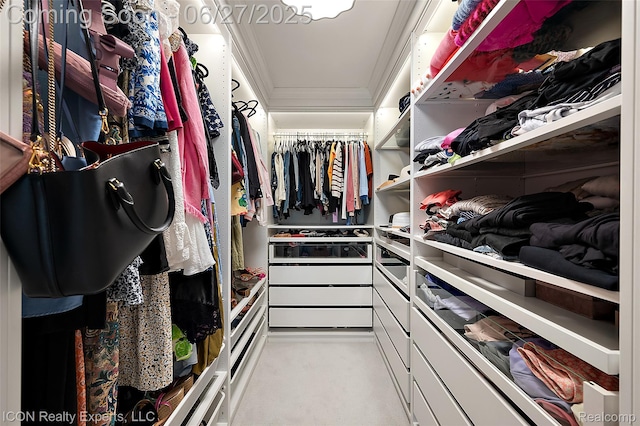 28440 Brooks Ln, Southfield, MI 48034 - walk in closet with light carpet