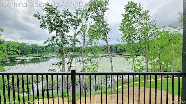 4789 Lakeshire Dr, Howell, MI 48843 - photo 36