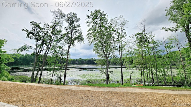 4789 Lakeshire Dr, Howell, MI 48843 - photo 5