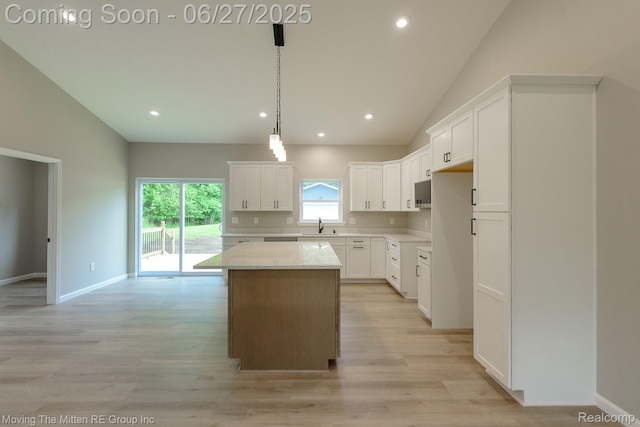 43796 Willow Rd, Belleville, MI 48111 - photo 10