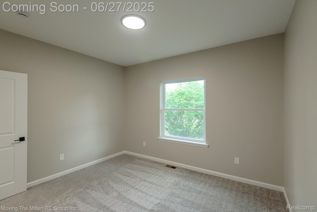 43796 Willow Rd, Belleville, MI 48111 - photo 25