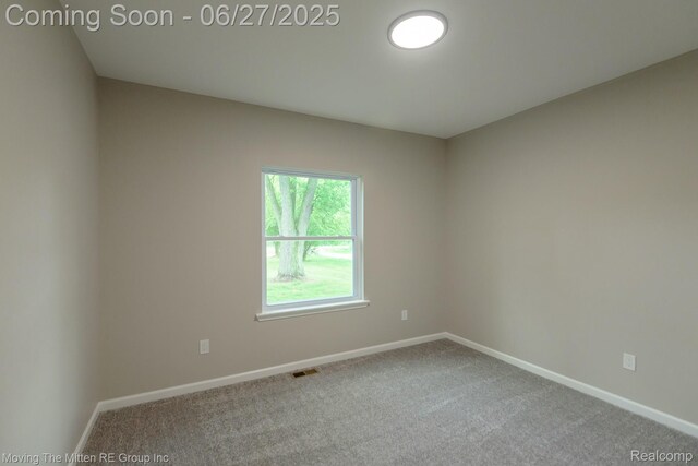 43796 Willow Rd, Belleville, MI 48111 - photo 24