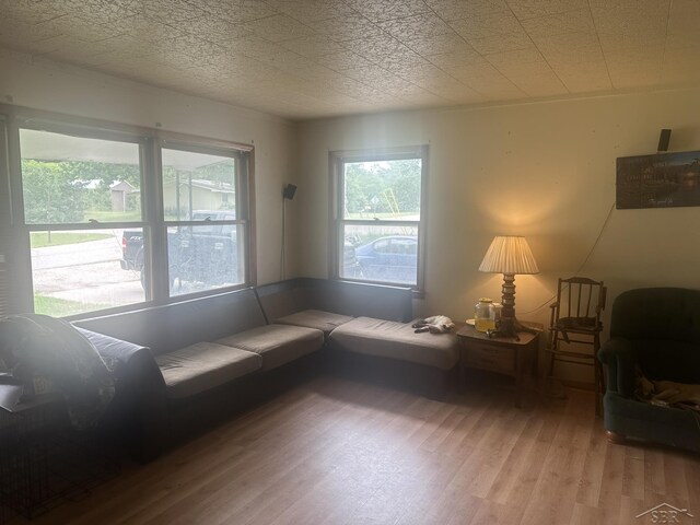 2220 Alice St, Farwell, MI 48622 - living room featuring light wood finished floors