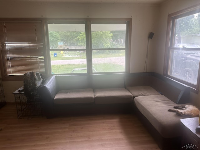 2220 Alice St, Farwell, MI 48622 - living area with wood finished floors and plenty of natural light