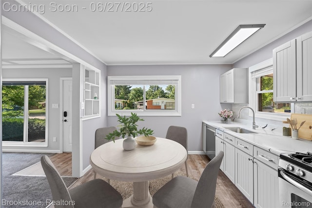 1293 Moulin Ave, Madison Heights, MI 48071 - kitchen with light countertops, healthy amount of natural light, dark wood-style floors, and stainless steel appliances