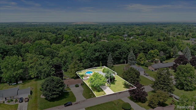 9134 Del Rio Dr, Grand Blanc, MI 48439 - photo 38